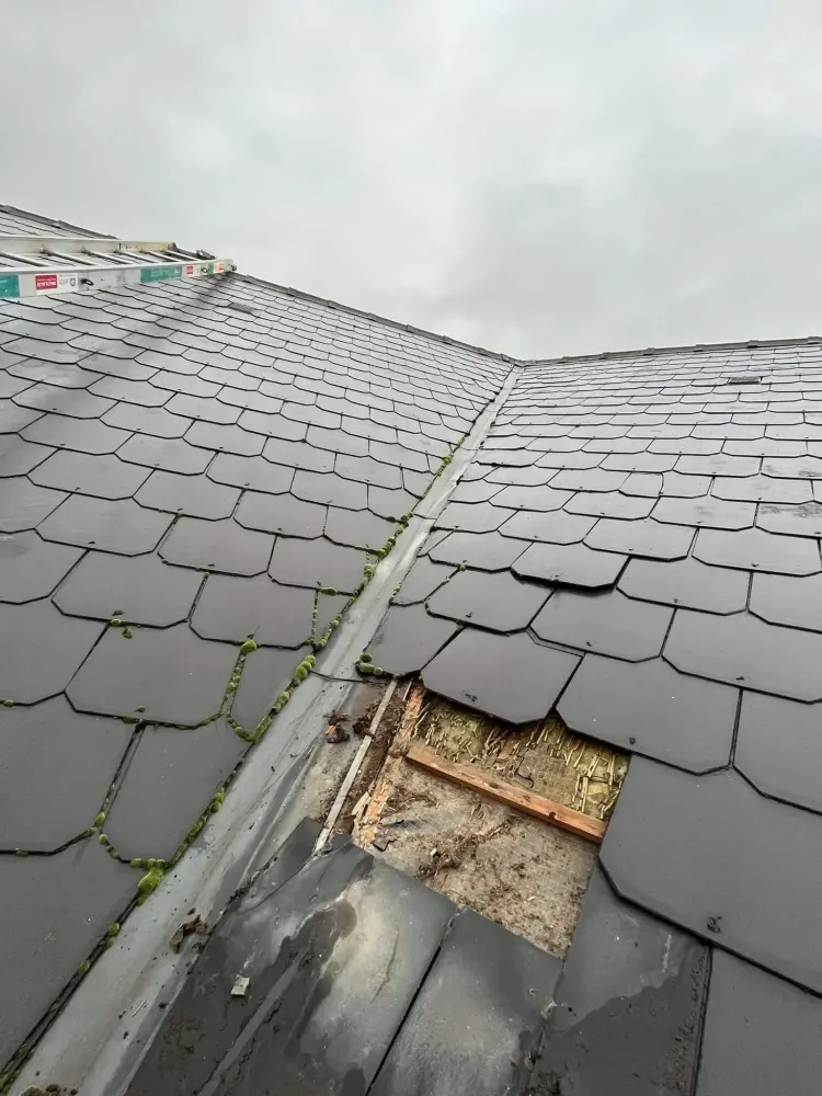 toiture-la-louviere02